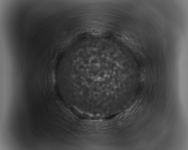 X0000097951106200803241148