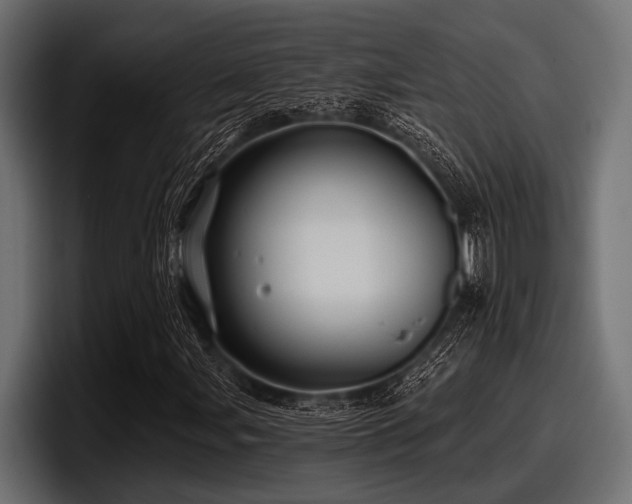 X0000097951107200803241148