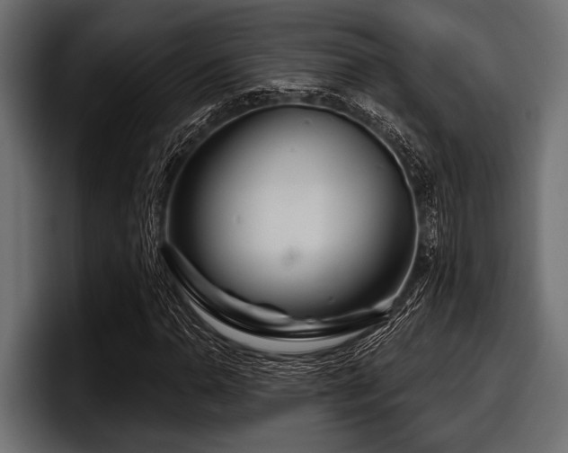 X0000097951110200803241148