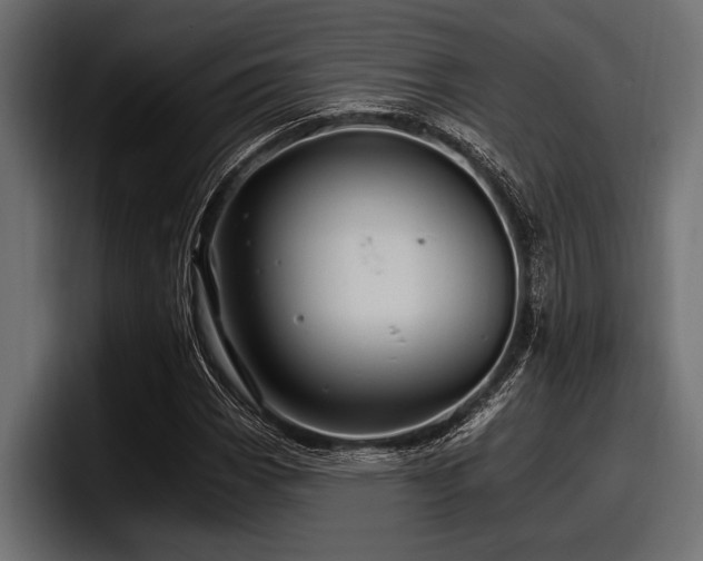 X0000097951113200803241148