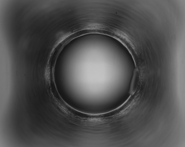 X0000097951114200803241148