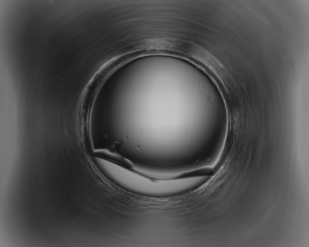 X0000097951115200803241148