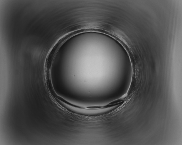 X0000097951116200803241148