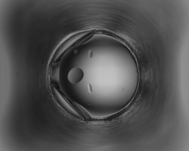 X0000097951118200803241148