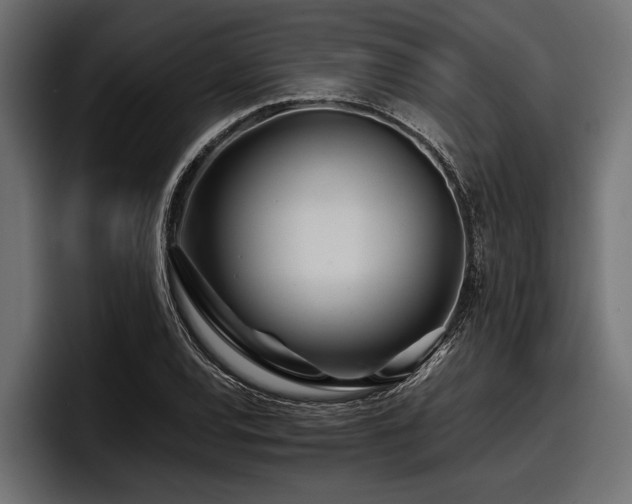 X0000097951120200803241148