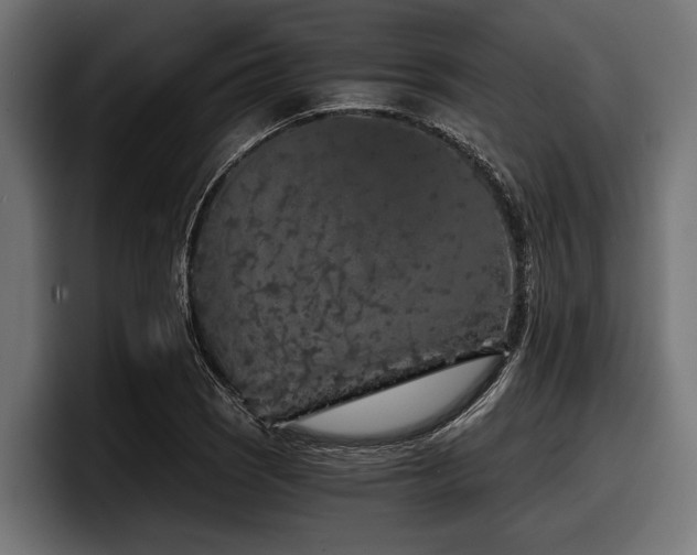 X0000097951121200803241148