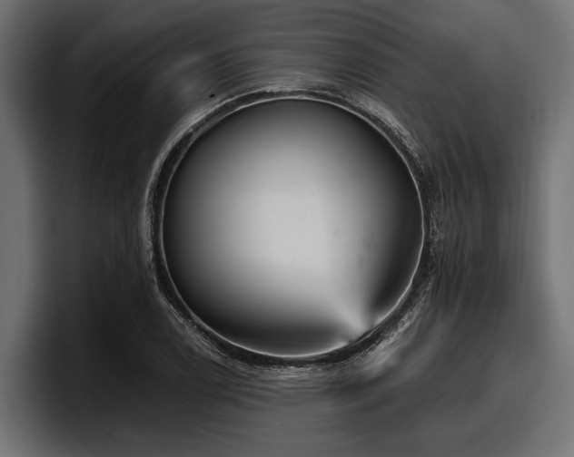 X0000097951122200803241148