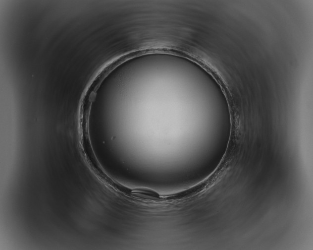 X0000097951124200803241148