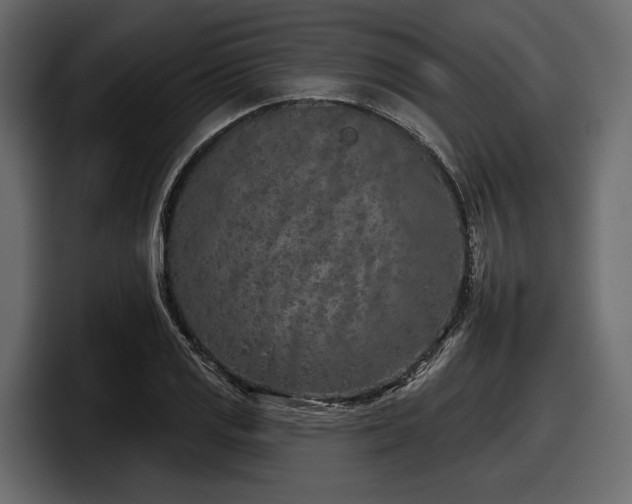 X0000097951125200803241148