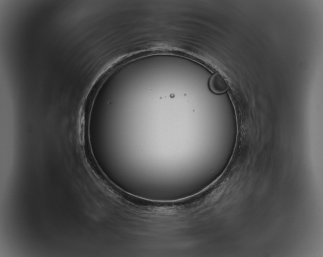 X0000097951126200803241148