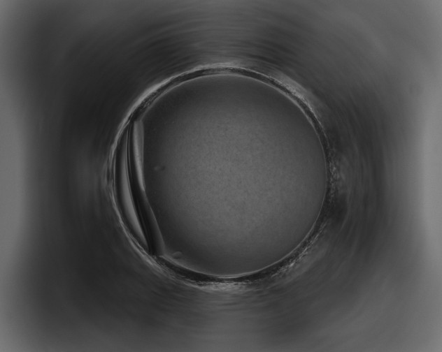X0000097951127200803241148