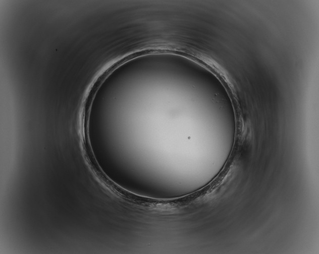 X0000097951128200803241148