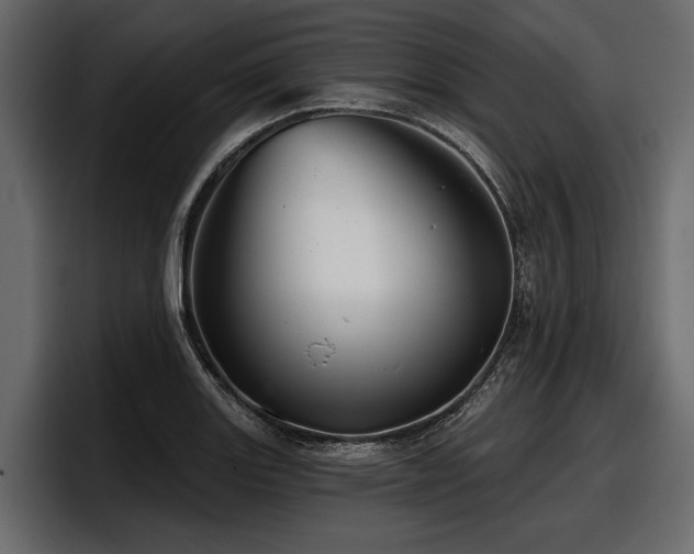 X0000097951131200803241148