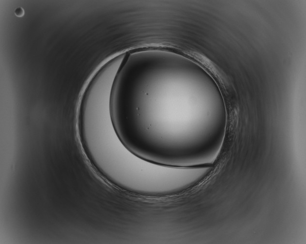X0000097951132200803241148