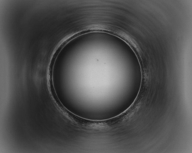X0000097951133200803241148