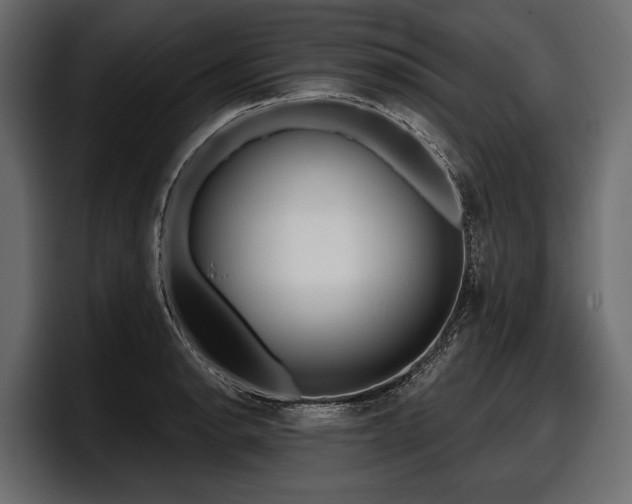 X0000097951134200803241148