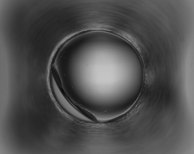 X0000097951136200803241148