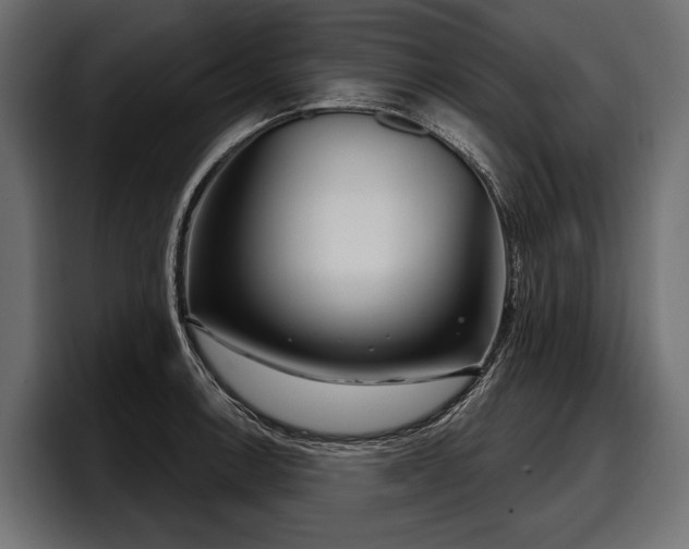 X0000097951138200803241148