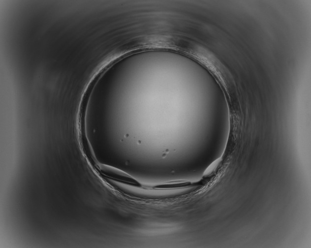 X0000097951141200803241148
