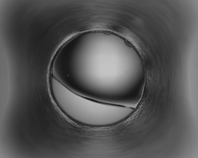 X0000097951142200803241148