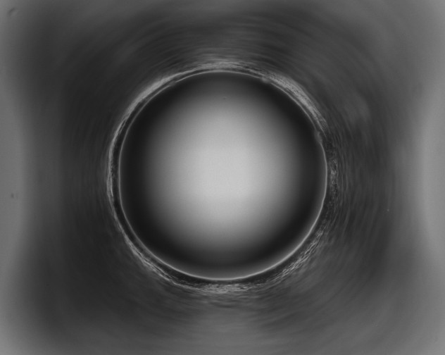 X0000097951143200803241148