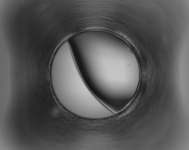 X0000097951145200803241148