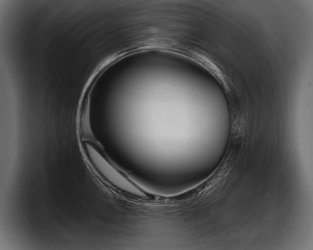 X0000097951146200803241148
