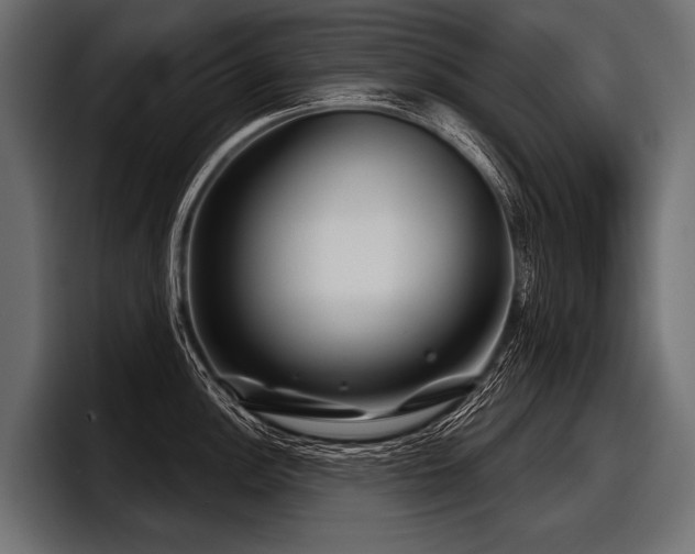 X0000097951148200803241148