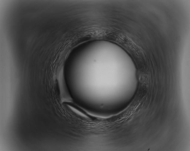 X0000097951153200803241148