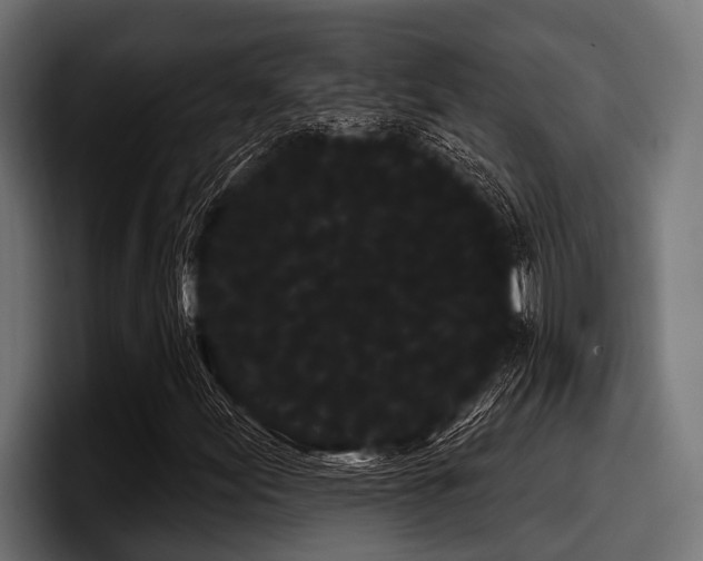 X0000097951155200803241148