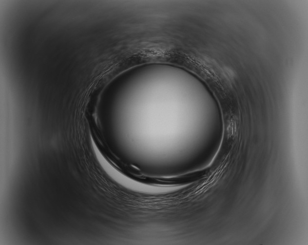 X0000097951156200803241148