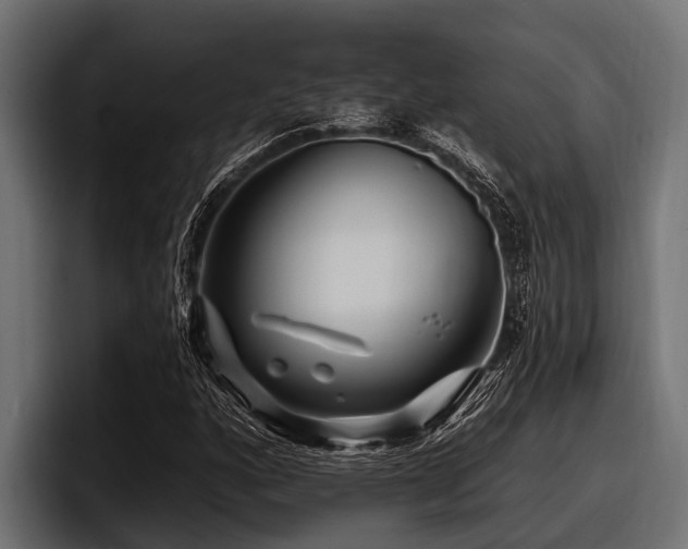 X0000097951160200803241148