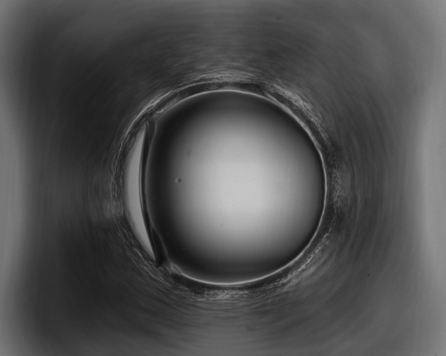 X0000097951163200803241148