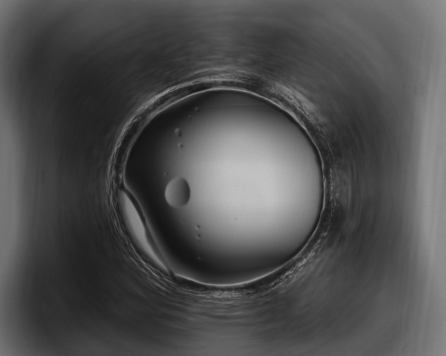 X0000097951164200803241148