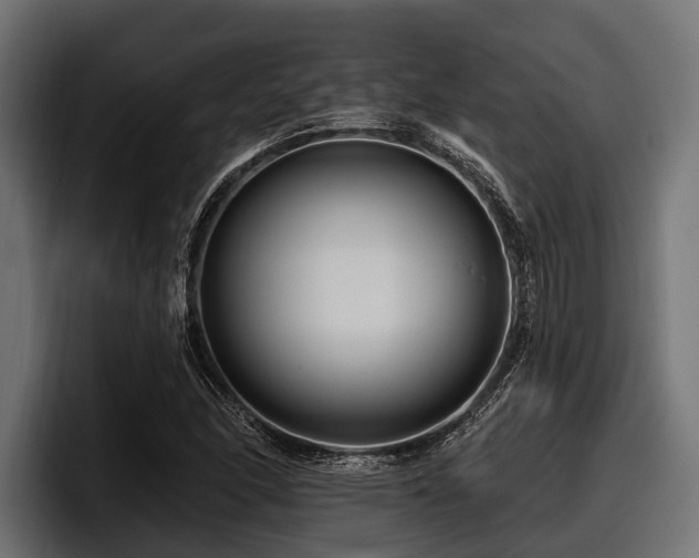 X0000097951166200803241148