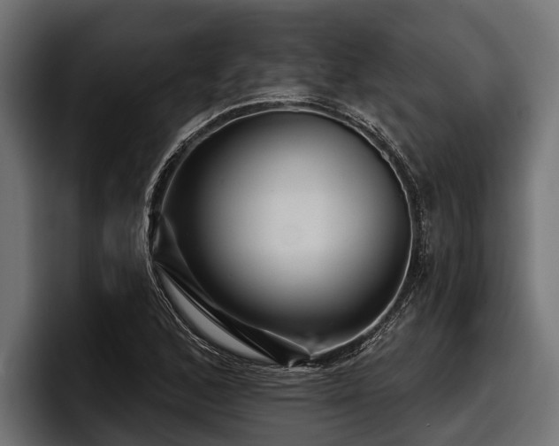 X0000097951168200803241148