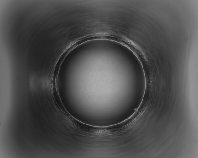 X0000097951170200803241147