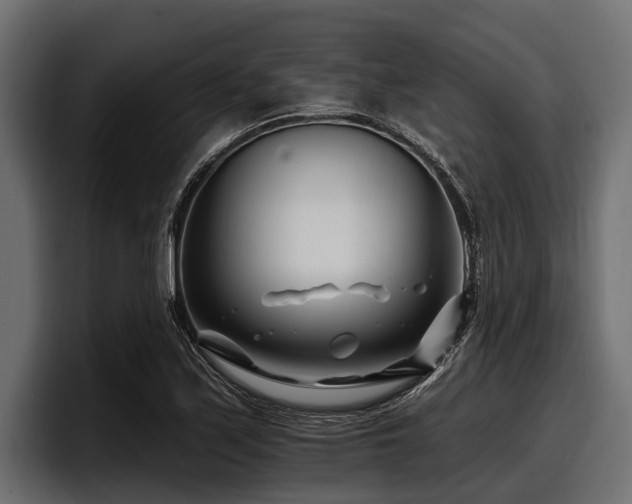X0000097951171200803241147