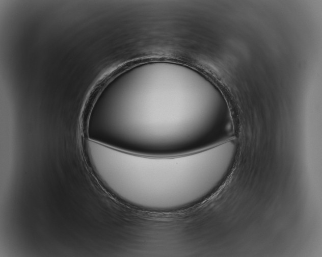 X0000097951172200803241147