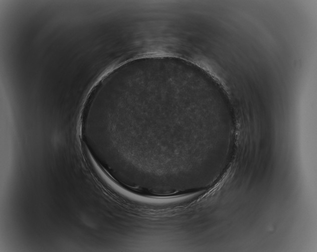 X0000097951173200803241147