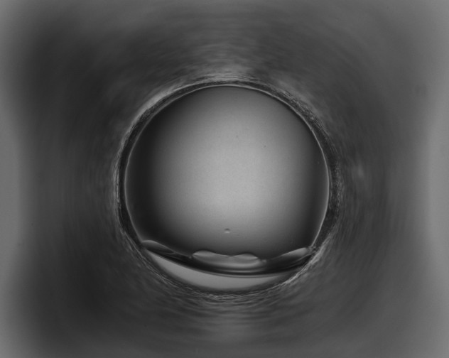 X0000097951174200803241147