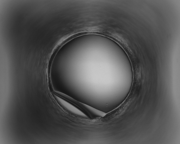 X0000097951176200803241147