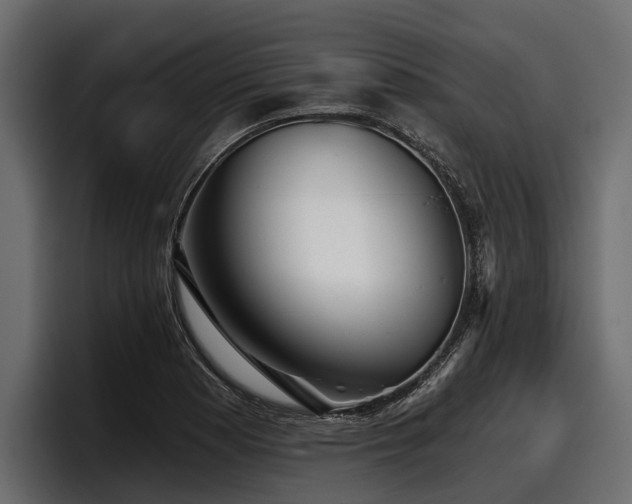 X0000097951177200803241147