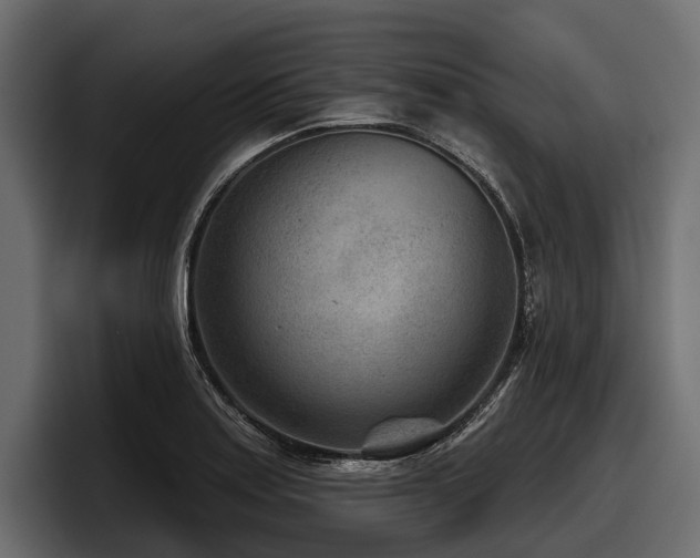 X0000097951179200803241147