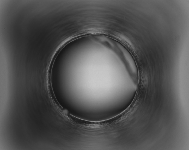 X0000097951182200803241147