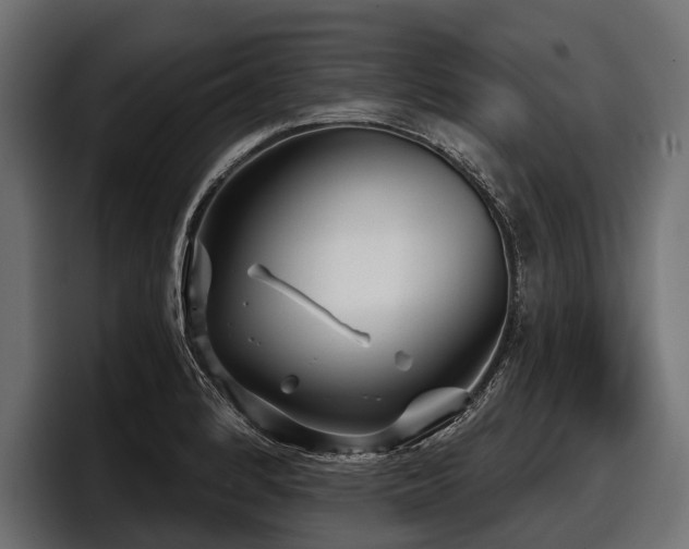 X0000097951184200803241147