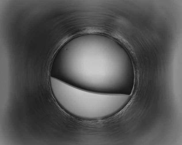 X0000097951185200803241147