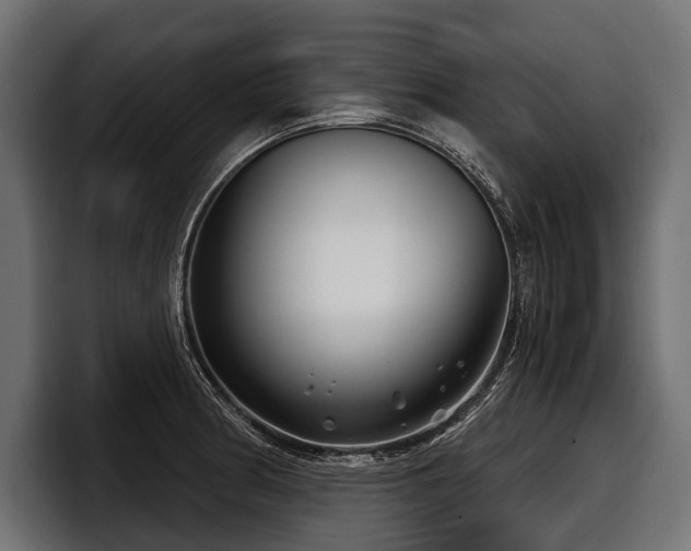 X0000097951186200803241147