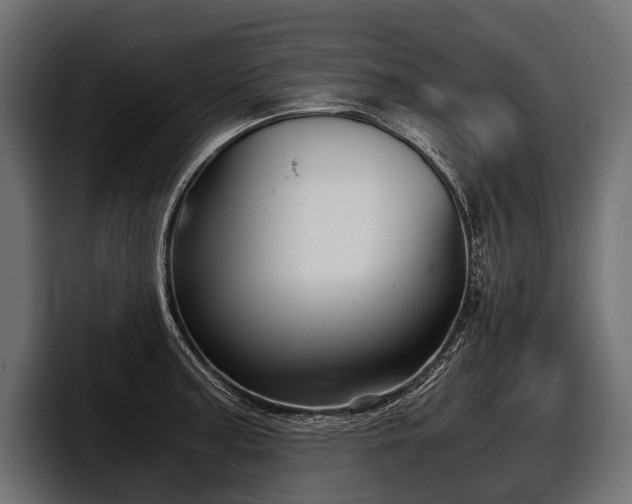 X0000097951187200803241147