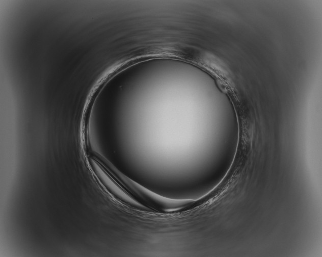 X0000097951188200803241147